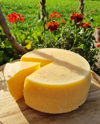 BIO Kravský sýr typu gouda (200g)