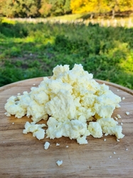 BIO brynza (250g)