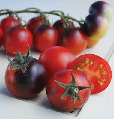 BIO Cherry rajčátka (500 g)